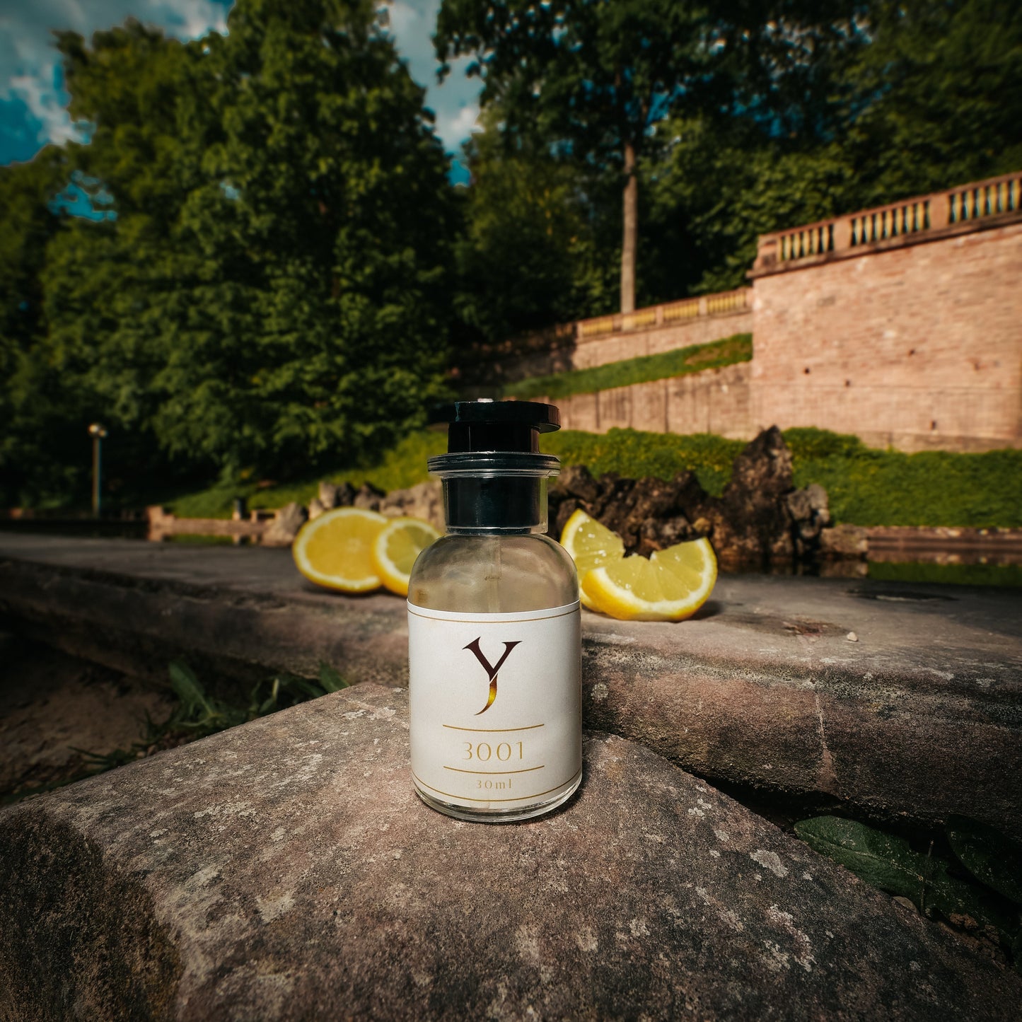 Y Fragrancy 3001
